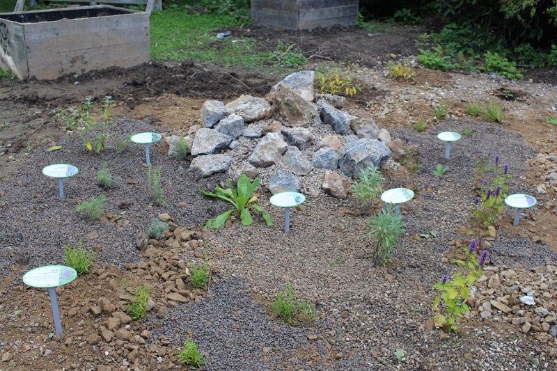 Schmetterlings- und Insektenhilfe