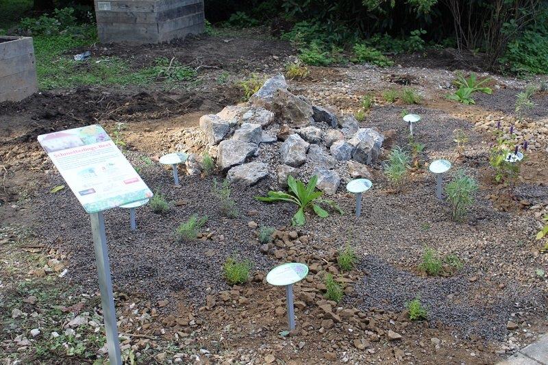 Schmetterlings- und Insektenhilfe