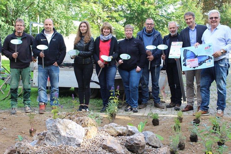 Schmetterlings- und Insektenhilfe