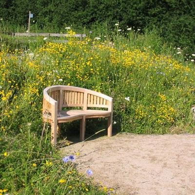 Blumenwiese, pflegeleicht und wertvoll für die Tierwelt