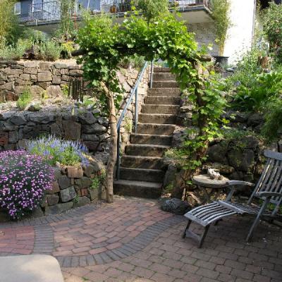 Weinrebe mit Robinienstämmen als Torbogen