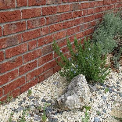 bepflanzer Spritzschutzstreifen am Haus