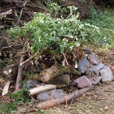 Das Winterquatier für Amphipien