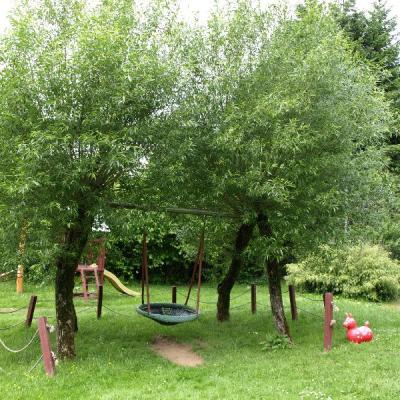 Die grüne Variante der Vogelnestschauckel