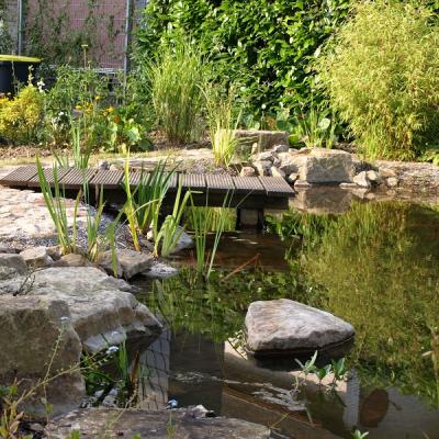 Ein Platz zum Verweilen und Beobachten