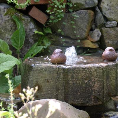 Auch wenn es noch so wenig ist, Wasser belebt den Garten