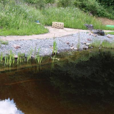 Schwimmteich ohne Technik, ca. 15 Jahre alt