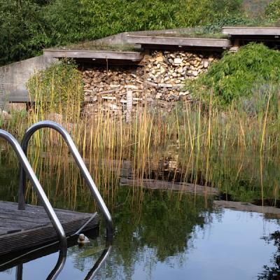 Hier erfolgt der Einstieg über Robinienterrasse und Edelstahlleiter ins Wasser