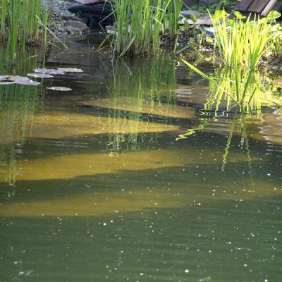Über Stufen in den Badeteich