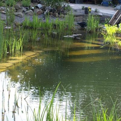 Schwimmteich mit Natursteintreppe ins Wasser