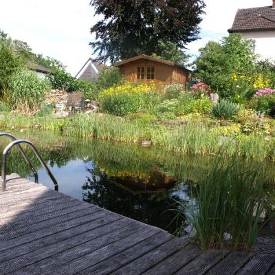 Schwimmteich in Hagen der Kategorie 3, funktioniert ohne aufwendige Filtertechnik und Störungsanfälligkeit