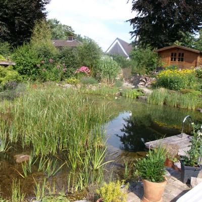 Gut eingewachsener Schwimmteich in Hagen