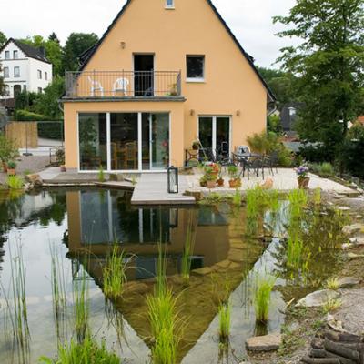 Schwimmteich nach 3 Jahren